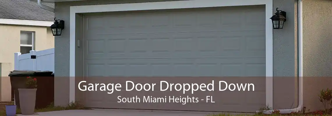 Garage Door Dropped Down South Miami Heights - FL