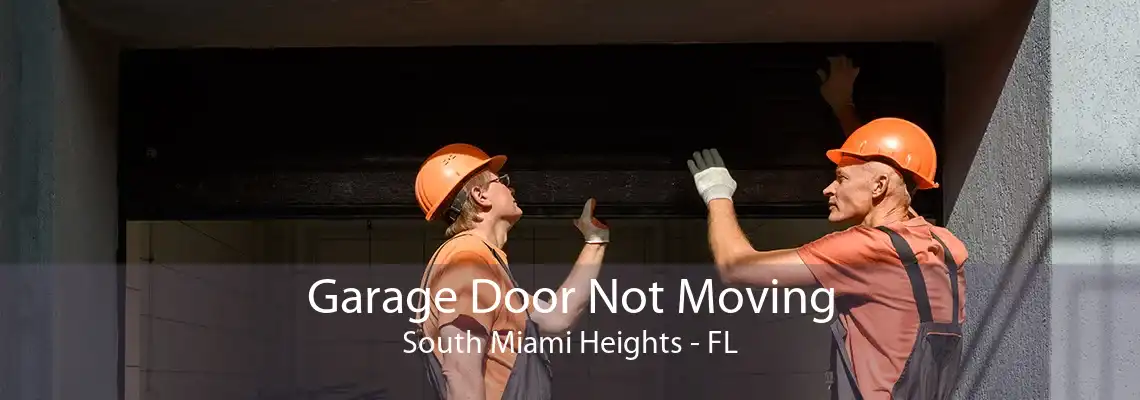 Garage Door Not Moving South Miami Heights - FL