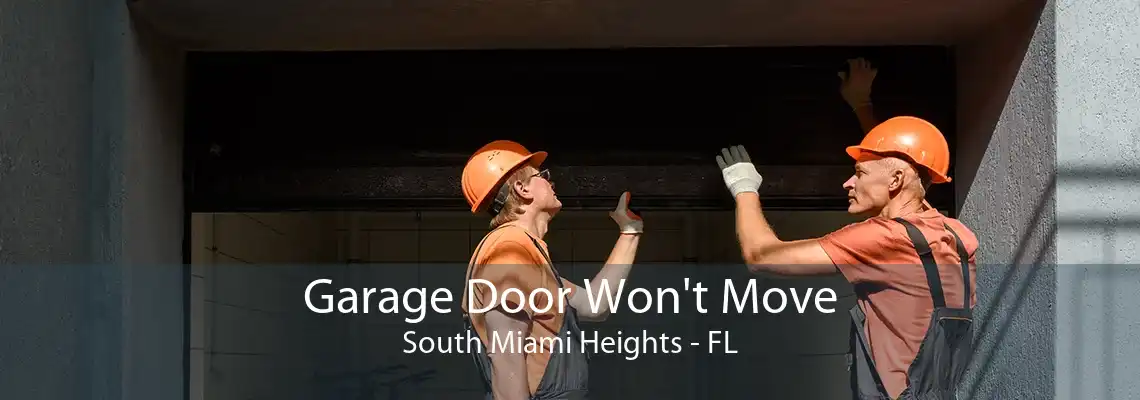 Garage Door Won't Move South Miami Heights - FL