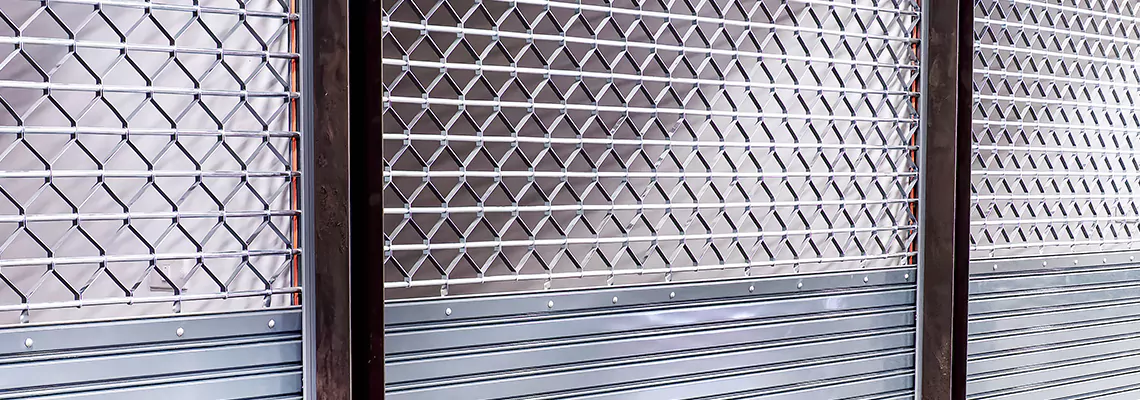 Rolling Grille Door Replacement in South Miami Heights, FL